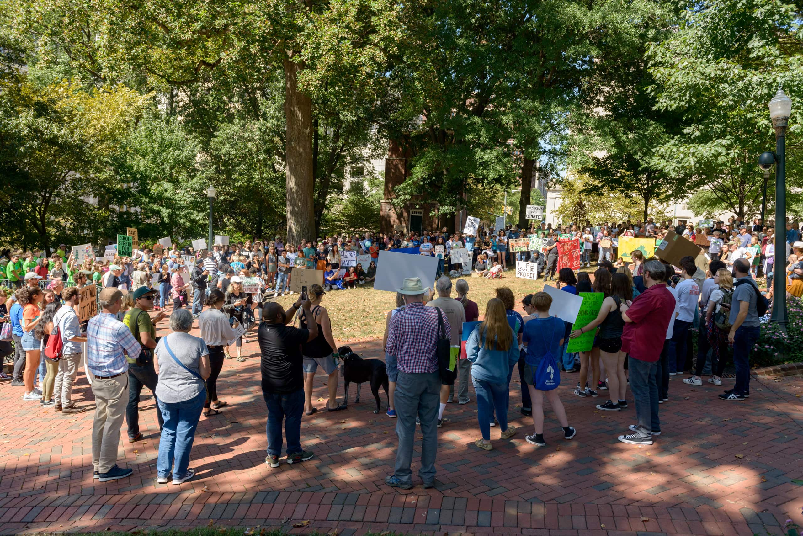 Climate Change Protesters